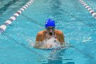Swimming & Diving vs RWU  Swimming & Diving vs Roger Williams University. - Photo by Keith Nordstrom : Wheaton, Swimming